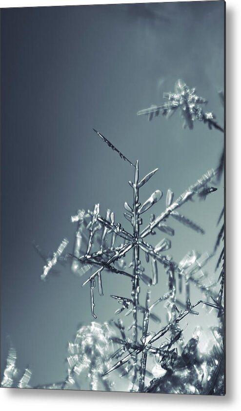 Abstract Metal Print featuring the photograph Fragile snowflake - monochrome blue by Intensivelight
