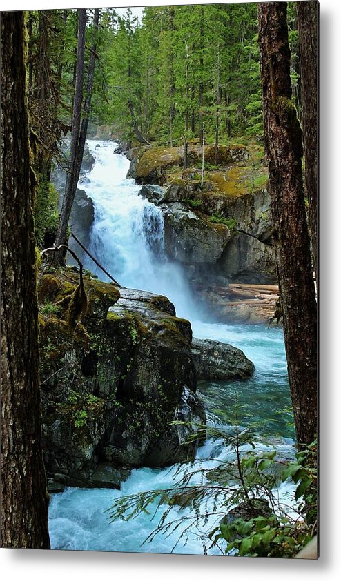 Silver Falls Metal Print featuring the photograph Framing Silver Falls by Lkb Art And Photography