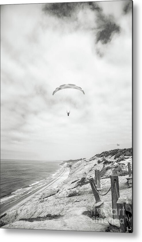 Torrey Pines Metal Print featuring the photograph Gliding Above Torrey Pines by Becqi Sherman
