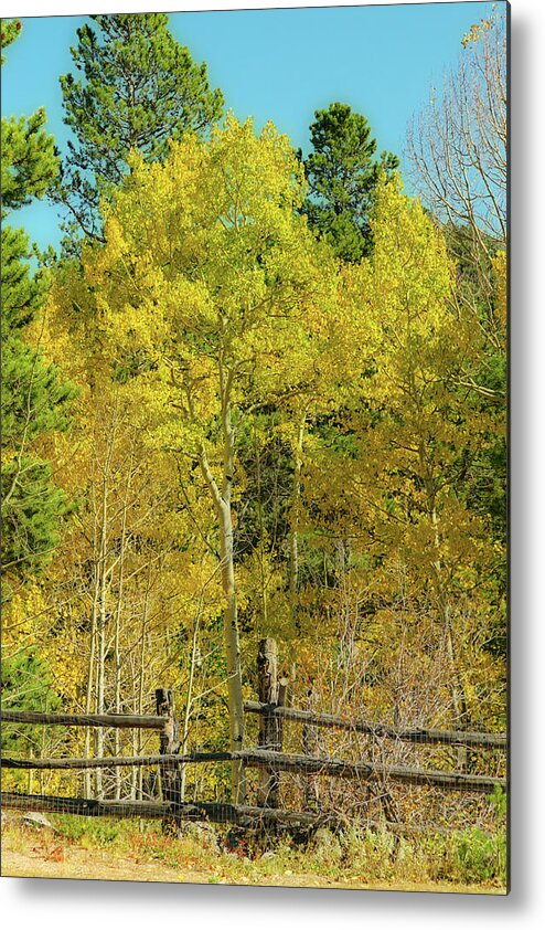 Rustic Metal Print featuring the photograph Golden Corral Portrait by James BO Insogna