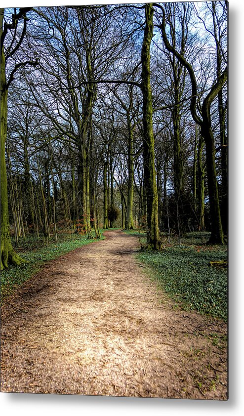 1700 Metal Print featuring the photograph Hardwick Hall Lady Spencer's Walk by Scott Lyons