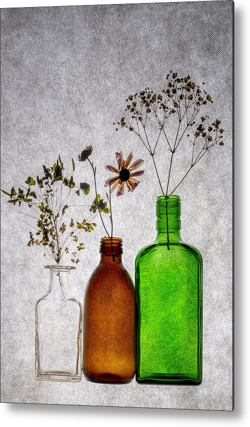 Still Life Metal Print featuring the photograph Herbarium by Brig Barkow