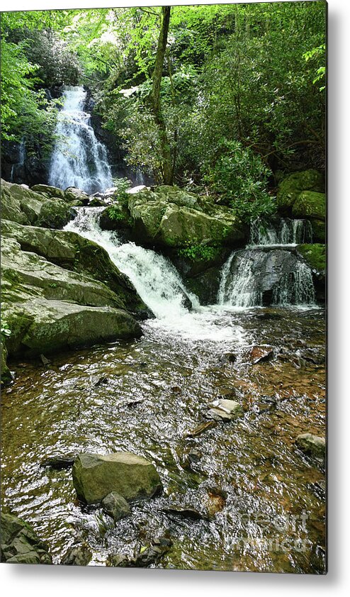 Tennessee Metal Print featuring the photograph Hidden Waterfall by Phil Perkins