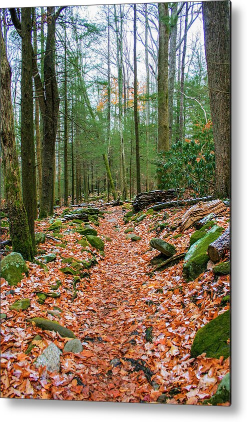 Photo For Sale Metal Print featuring the photograph Hiking Trail in Autumn by Robert Wilder Jr