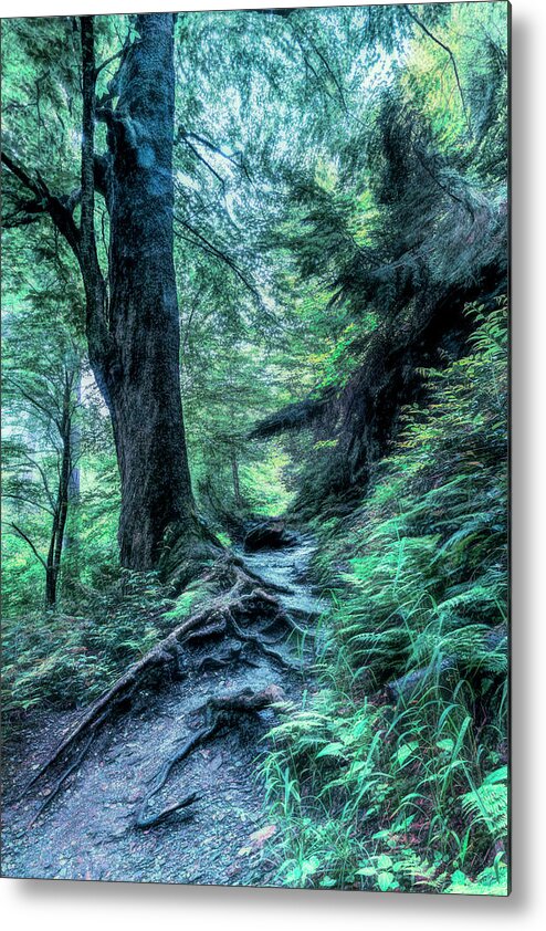 Appalachia Metal Print featuring the photograph In the Cool of the Evening on the Appalachian Trail by Debra and Dave Vanderlaan