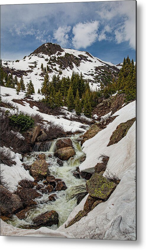 Aspen Metal Print featuring the photograph Independence Pass Stream by Al Hann