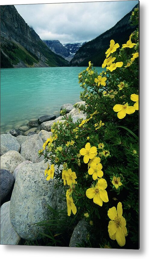 Tranquility Metal Print featuring the photograph Lake Louise, Banff National Park by Design Pics/bilderbuch