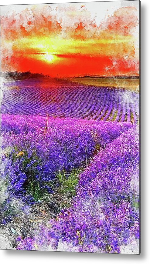 Lavender Metal Print featuring the painting Lavender fields - 11 by AM FineArtPrints