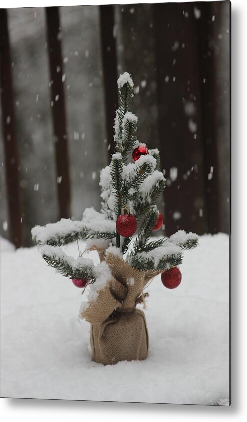 Christmas Tree Metal Print featuring the photograph Little Christmas Tree And Snow Falling 6 by Cathy Lindsey