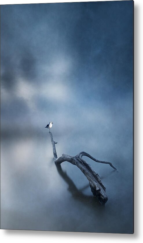 Creative Edit Metal Print featuring the photograph Lonely Little Bird by Teddy Hariyanto