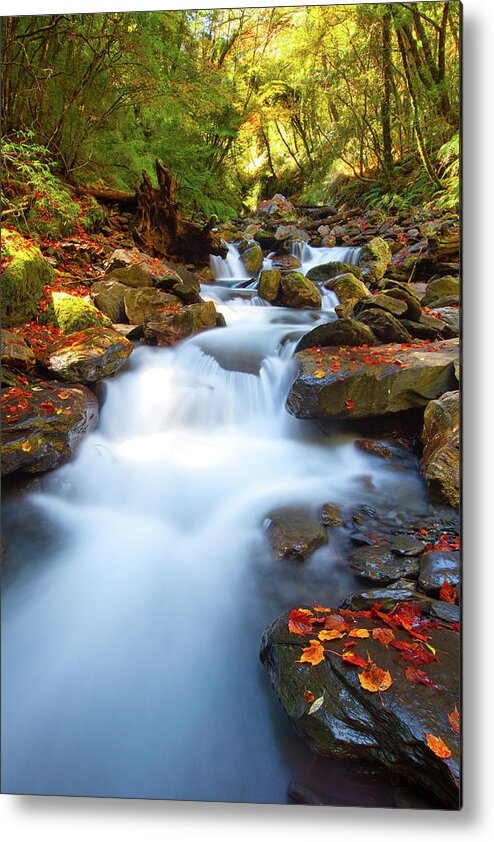 Scenics Metal Print featuring the photograph Maple Leaves Fallen On Rocks Of by Higrace Photo