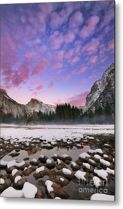 Half Dome Metal Print featuring the photograph Snowy Winter Sunset with Half Dome and Yosemite Valley by Tom Schwabel