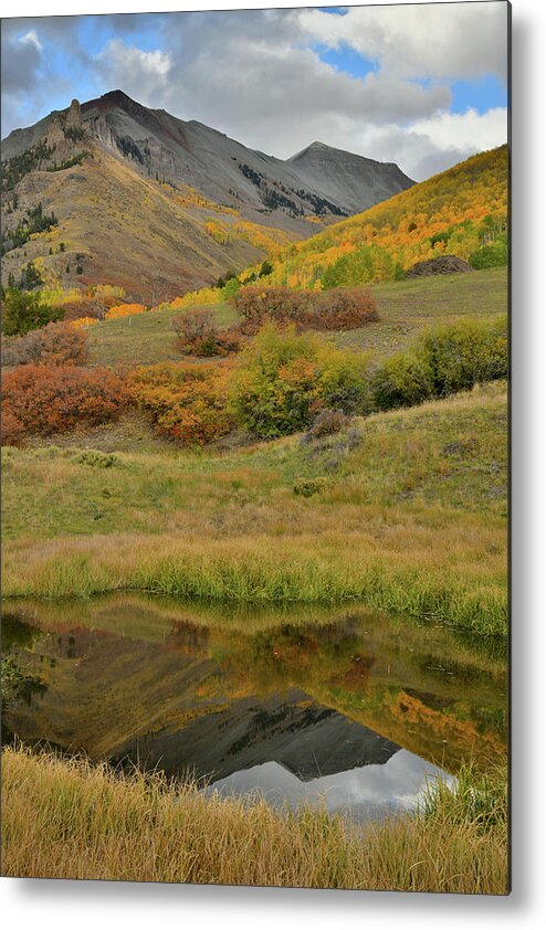 Telluride Metal Print featuring the photograph Mirror Image in Ranch Pond by Ray Mathis