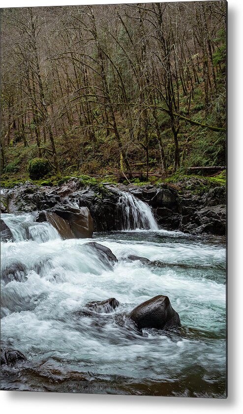 Rivers Metal Print featuring the photograph Molalla Cascade by Steven Clark