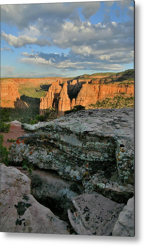Colorado National Monument Metal Print featuring the photograph Monument Canyon from Rim Trail's Edge by Ray Mathis