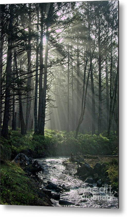 Fog Metal Print featuring the photograph Morning Mist by Craig Leaper