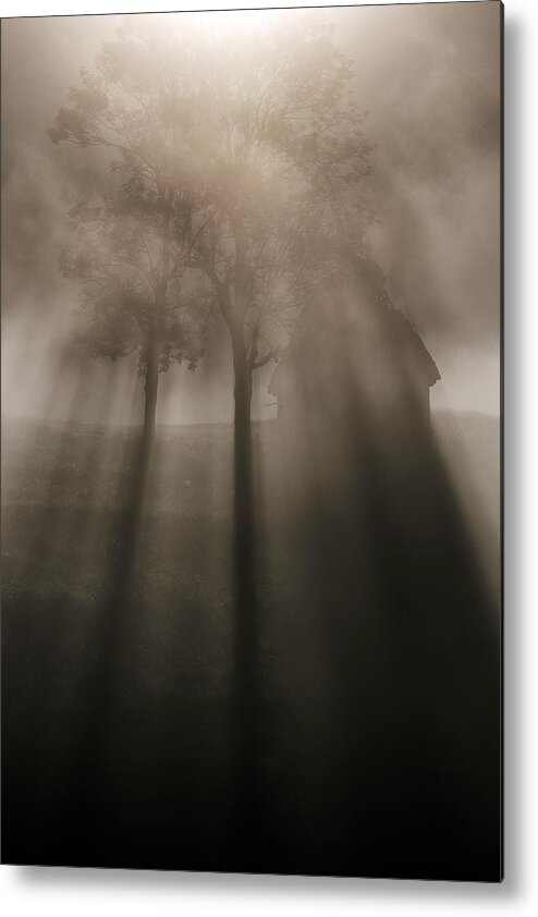Morning Metal Print featuring the photograph Morning Rays by Panfil Pirvulescu