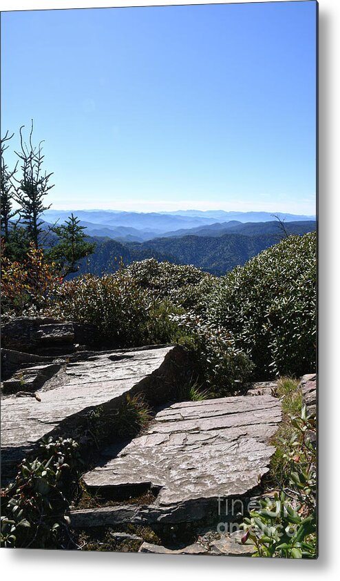 Mount Leconte Metal Print featuring the photograph Mount LeConte 10 by Phil Perkins