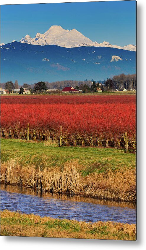 Landscape Metal Print featuring the photograph Nine Layer Dip by Briand Sanderson