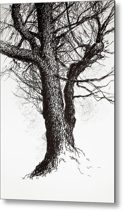 Oak In Early Spring Metal Print featuring the drawing Oak in early spring by Hans Egil Saele