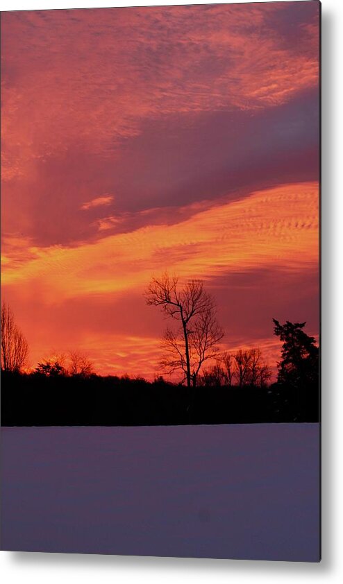Winter Metal Print featuring the photograph One Snowy Morning at the break of Dawn by M E