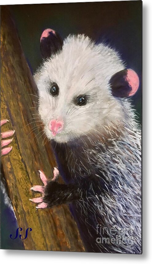 Opossum Metal Print featuring the painting Opossum Unsung Hera by Susan Sarabasha