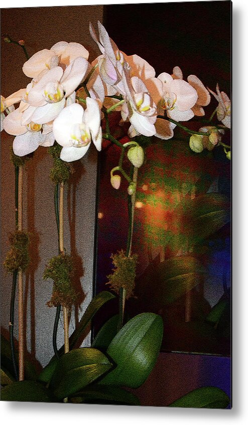 Orchids Metal Print featuring the photograph Orchids - Passion by Harsh Malik