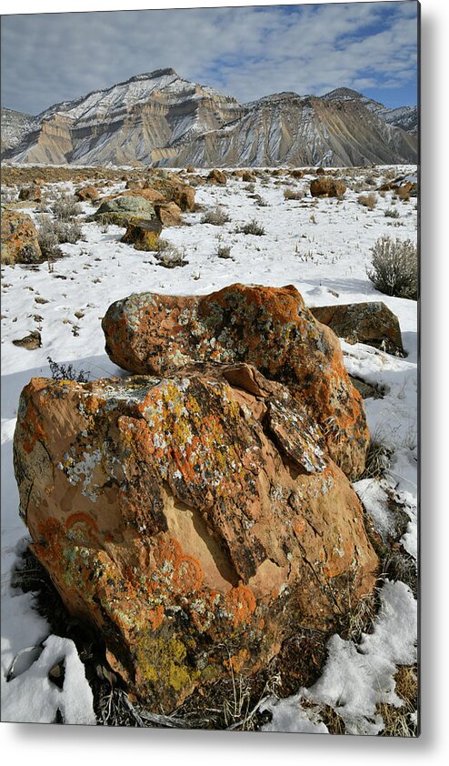 Book Cliffs Metal Print featuring the photograph Ornate Colorful Boulders in the Book Cliffs by Ray Mathis
