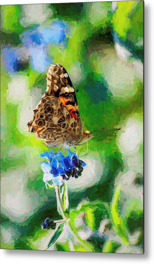 Cosmopolitan Metal Print featuring the photograph Painted Lady Butterfly Blue Flower by Don Northup