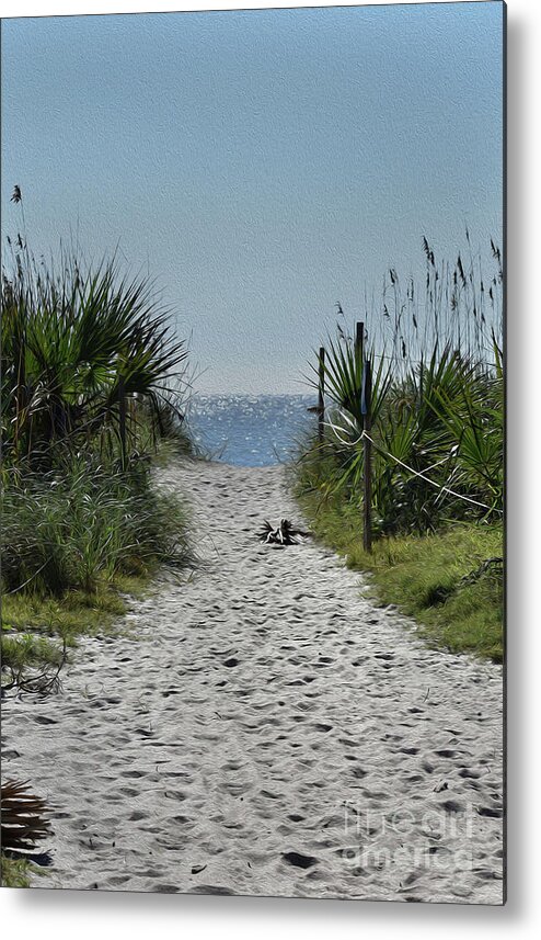 Maritime Metal Print featuring the photograph Painted Long Walk by Skip Willits