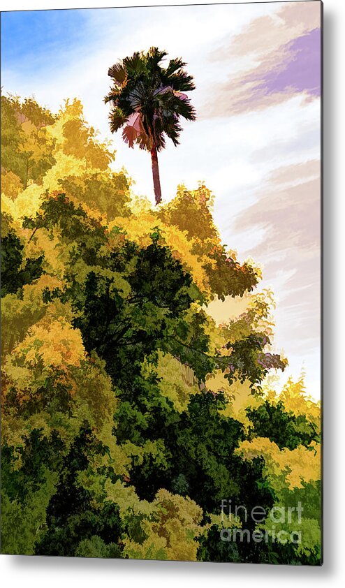 Art Metal Print featuring the photograph Palm above the Trees by Roslyn Wilkins