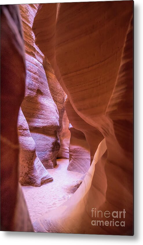 Arizona Metal Print featuring the photograph Pathway by Ed Taylor