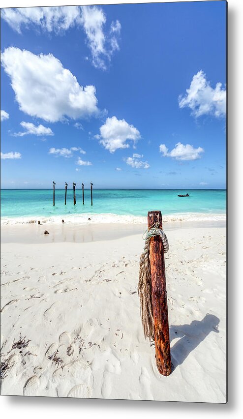 Aruba Metal Print featuring the photograph Pelicans Perch by David Letts