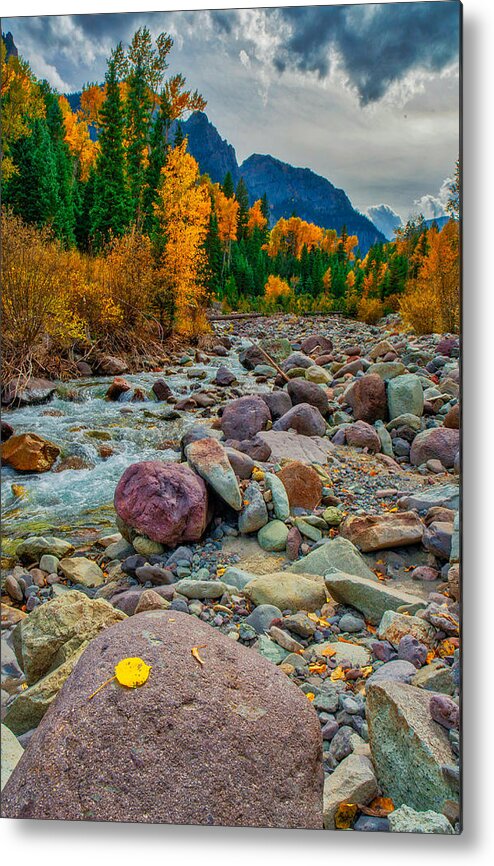 Colorado Metal Print featuring the photograph Point Of Color by Tom Gresham