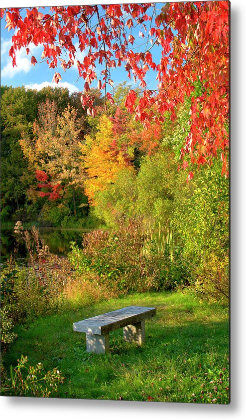 Autumn Metal Print featuring the photograph Quiet Autumn Moments by Luke Moore