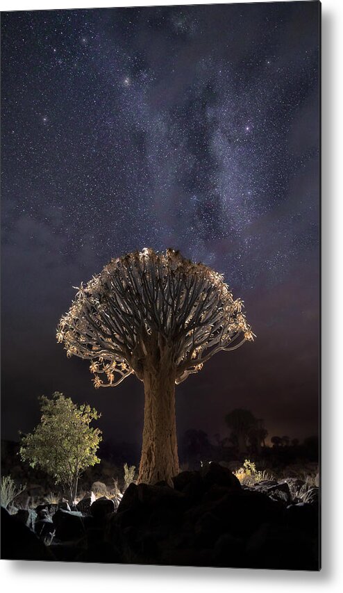 Namibia Metal Print featuring the photograph Quiver Tree And Milky Way A733729 by Joanaduenas