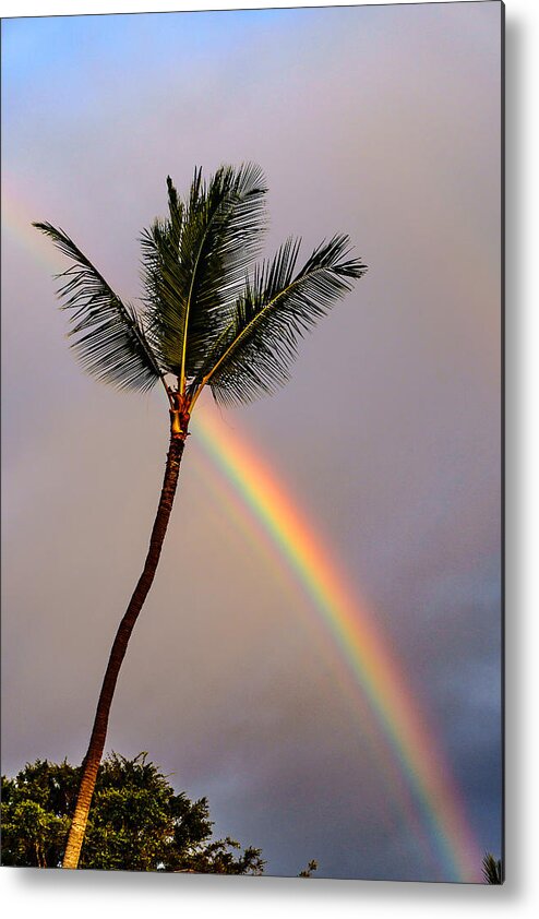  Metal Print featuring the photograph Rainbow just before Sunset by John Bauer