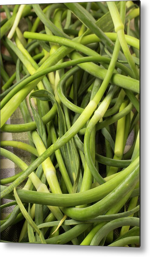 Season Metal Print featuring the photograph Raw Garlic Scapes by Brian Yarvin