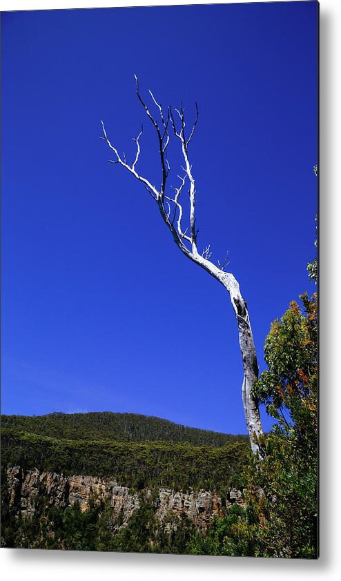 Australia Metal Print featuring the photograph Reach for the vast blue exapnse by Jonathan Keane