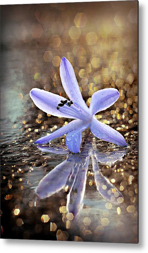 Blue Metal Print featuring the photograph Reflections of Joy by Michelle Wermuth