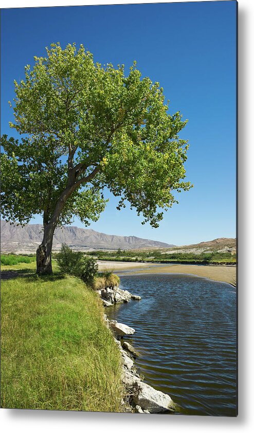 Scenics Metal Print featuring the photograph Rio Grande River And Cottonwood Tree El by Dszc