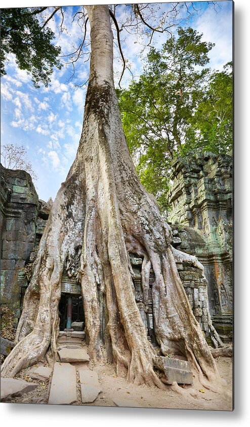 Scenic Metal Print featuring the photograph Roots Of A Giant Tree Overgrowing Ruins by Jan Wlodarczyk