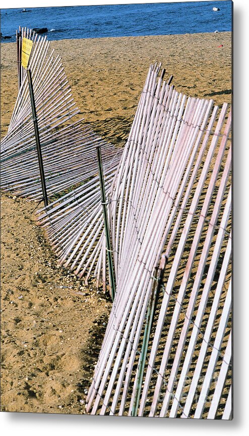 Beach Metal Print featuring the photograph Sandy Point by Steve Ember