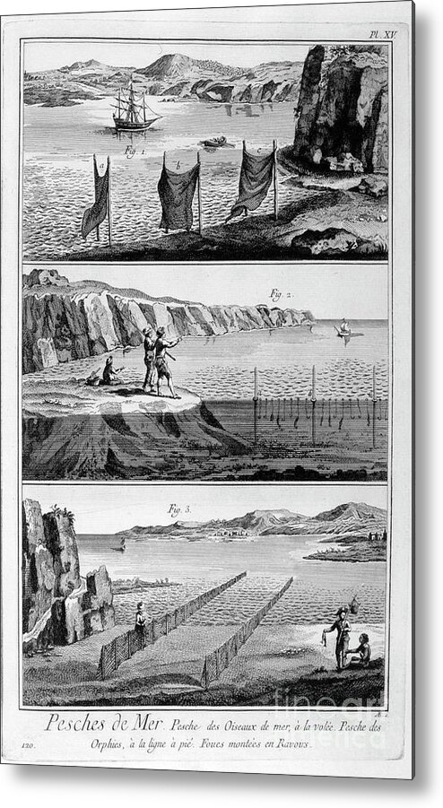 Working Metal Print featuring the drawing Sea Fishing, 1751-1777 by Print Collector