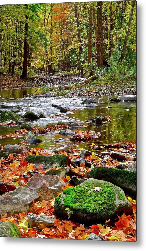 Autumn Metal Print featuring the photograph Seasonal Colors and Stream by Frozen in Time Fine Art Photography
