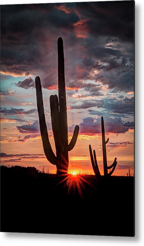 Desert Metal Print featuring the photograph Silhouetted Saguaro by Laura Hedien