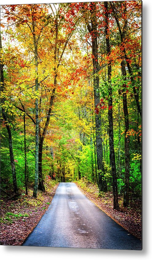 Appalachia Metal Print featuring the photograph Smoky Mountain Autumn by Debra and Dave Vanderlaan