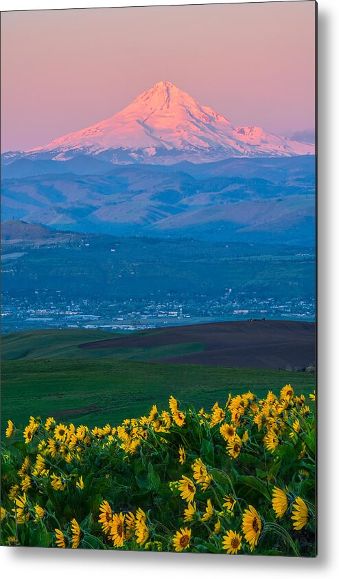 Oregon Metal Print featuring the photograph Spring Awakening by John Fan