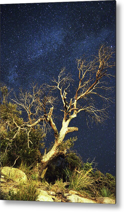 Starry Sky Metal Print featuring the photograph Stars light up Arizona Sky by Chance Kafka