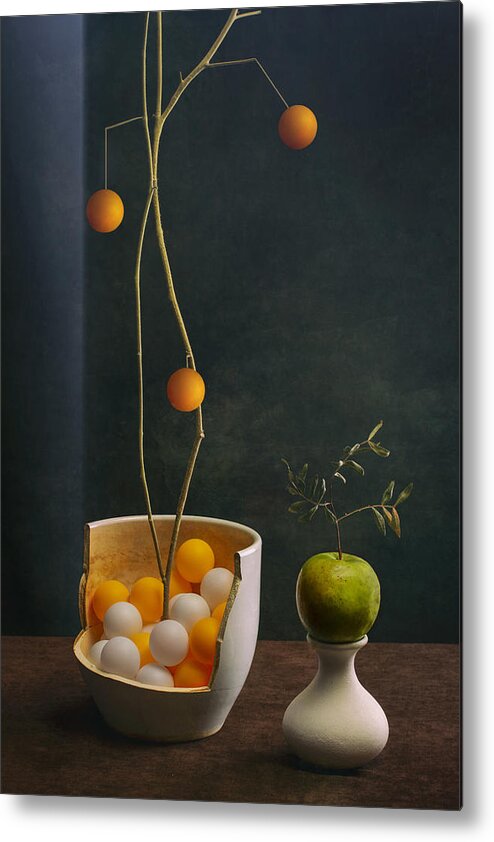 Still Life Metal Print featuring the photograph Still Life by Brig Barkow